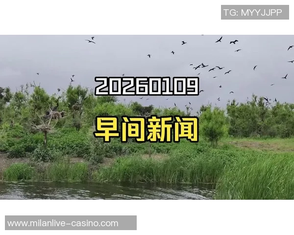 2026年3月份新闻从零起步掌握飞盘技巧与团队协作的全面指南